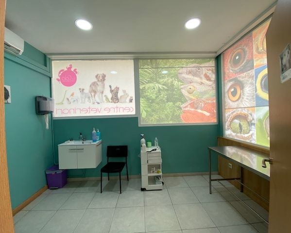 Centre Veterinari La Cala parte interior de clínica veterinaria